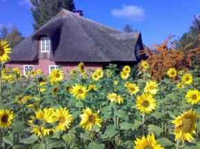 Freistehendes Reetdachhaus auf einem großen Grundstück in ruhiger Umgebung, Riepsdorf